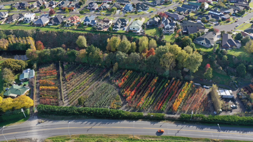 Leafland Aerial View (Autumn)