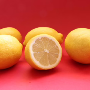 Citrus lemon 'Yen Ben'