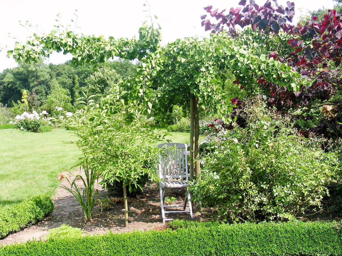 Garden scene with a white chair nestled under a tree trained to form a shady canopy. Green lawn, manicured hedges, and colorful foliage create a tranquil and inviting outdoor space.