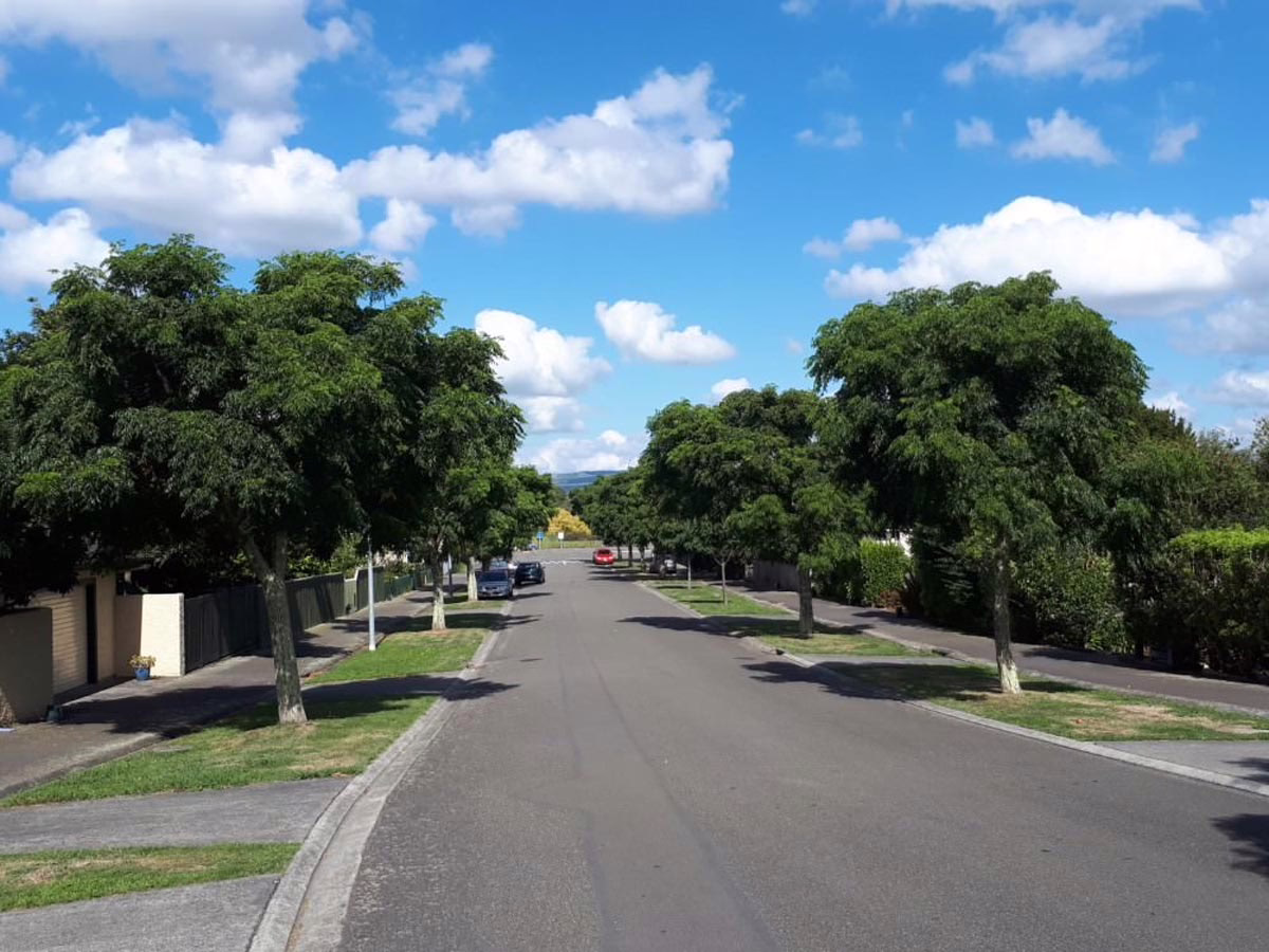 Tree-lined suburban street under a bright blue sky dotted with puffy white clouds. A peaceful residential scene with neat lawns and parked cars.