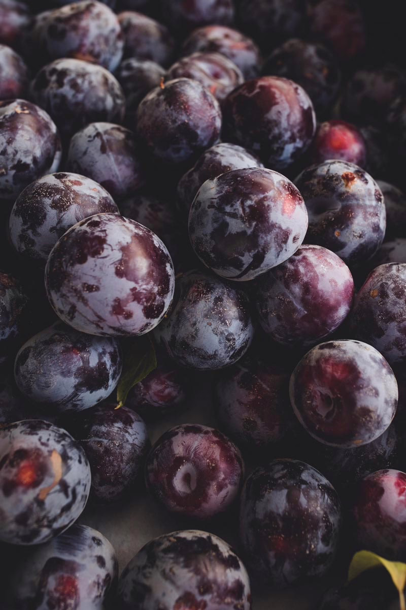 Plum 'Black Doris' 2 Plum 'Black Doris' - Image 2