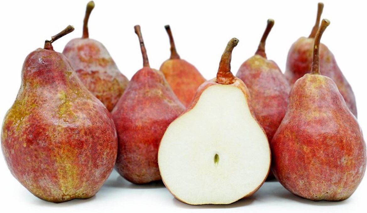 Pear 'Red Bartlett' 4 Pear 'Red Bartlett' - Image 4