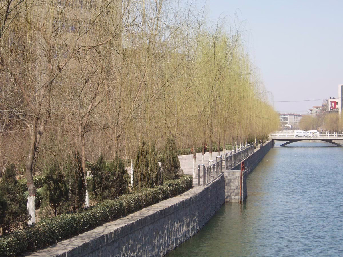 River scene with willow trees lining a stone embankment. A bridge spans the water in the background under a pale sky. The trees have budding leaves, suggesting early spring.